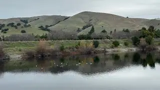 Biking Trail - Alameda Creek Trail : Coyote Hills - Quarry Lakes - Niles. | 12/21/2024