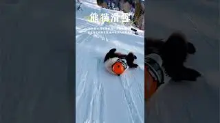 Panda Skiing