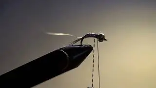Episode #11 Tying my favorite nymph! (The Lighting Bug Nymph)