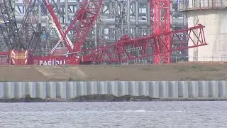 US greenlights Port Arthur LNG Phase II exports to non-FTA countries