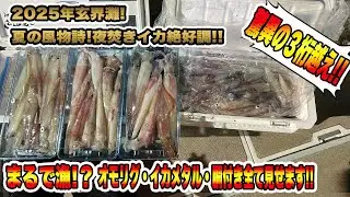 【オモリグ・イカメタル・胴付き】今が絶好調❕玄界灘夏の風物詩❕夜焚きイカ❕数時間で驚異の３桁越え❕誘い方・仕掛け・全て見せます❕...#イカメタル #オモリグ#胴付き #玄界灘