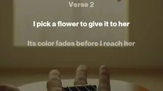 Hands That Couldn't Hold
