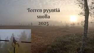 Teeren pyynti&auml; suolla 2025