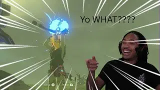 This torch glitch is HILARIOUS in BotW