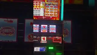 BIRTHDAY JACKPOT AT TABLE MOUNTAIN CASINO! #SLOTS #CASINO #MAXBET #JACKPOT #FLAMINGREEL