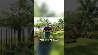 Unveiling Vero Beach's Privacy Landscaping Secrets!
