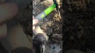 Fossicking for gold in Adelaide Hills