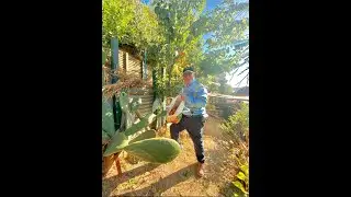 Terraplenes, terrazas pequeñas para contener cerros , taludes ( Video 1)
