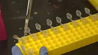 EYH Lab Tour: Plant Lab