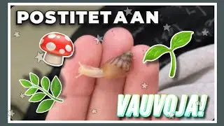 POSTITETAAN KOTILO VAUVOJA