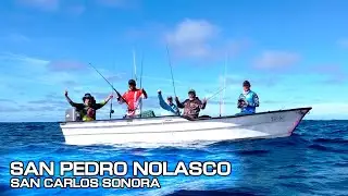 Pesca a Jigging - Jurel Yellowtail en Isla San Pedro Nolasco, San Carlos, Sonora.