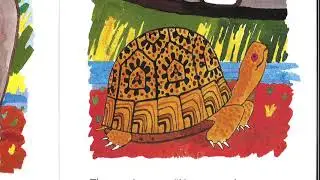 The Clever Tortoise