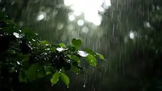 Moog Synth 432Hz Rain Under the Moon Analog  Healing Sleep Soundscape