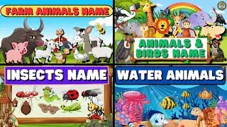 Wild Animals, Farm Animals, Water animals, Insects, Birds Name | #compilation