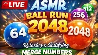 LIVE 🔴 ASMR Ball Run 2048 | Relaxing Merge Number Satisfying