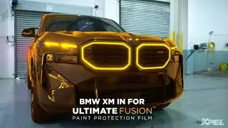 BMW XM, Protection Inside & Out