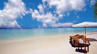 Chill laid back Hiphop Music - Relaxing cozy beach Study, Sleep, Work - Pomodoro Method 50/10