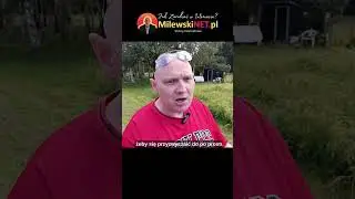 3 Strach przed nagrywaniem wideo do sieci #shorts #wideo #nagrywanie #firma @MilewskiNET