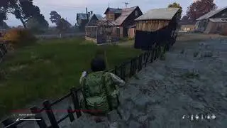 Day Z, Day 5 Dear Diary