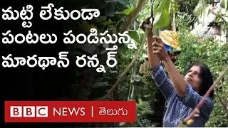 No Soil Farming : మట్టి లేకుండా, సంప్రదాయ పద్దతిలో సేంద్రీయ వ్యవసాయం చేస్తున్న మారథాన్ రన్నర్ | BBC