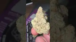 4C Labs - Mac 1 | First Look 👀