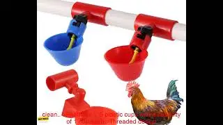 1005004625304459 5 Pcs Chicken Water Cup Automatic Drinker for Chickens Thread Filling