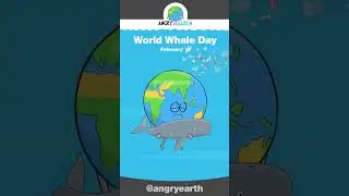 World Whale Day - February 18 #shorts