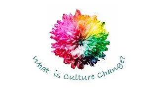 What Is Culture Change?