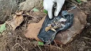 Кървва черна магия за смърт.Зловещо! Вода от мъртвец за черна магия и бавна  смърт.