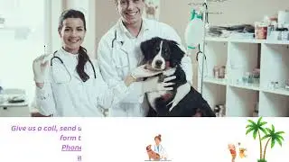 Vet in Langley