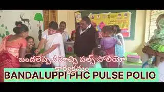 PULSE POLIO PROGRAM 21-12-2025