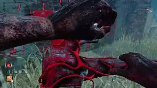 Xaphe vs Rocket