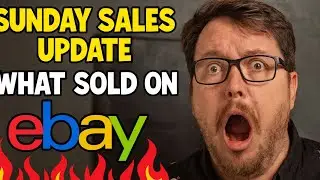 Sunday Sales Update 💰 | What SOLD on eBay This Week!