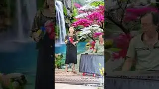 CK Nỗi Buồn Đ&ecirc;m Đ&ocirc;ng. TB Kim Tan Ha 