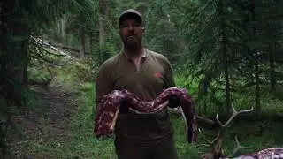 Public Land Owner: Ty Stubblefield