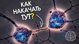 Главная ПРИЧИНА Твоих ИЗМЕНЕНИЙ | BDNF