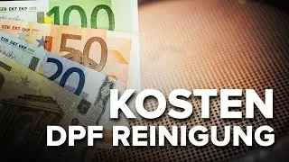 Was kostet eine Partikelfilter Reinigung?