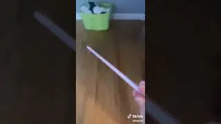 Feeding my turtle with straws