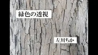 緑色の透視　作：左川ちか