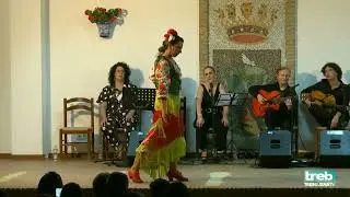 vanessa la molia. baile por alegrias de C&aacute;diz