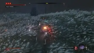Inner Isshin no-hit (Charmless+Bell Demon)