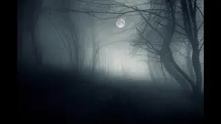 Diary a Novel Asmr June 26th