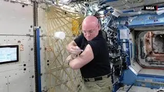 What we can learn from Scott Kelly's year in space