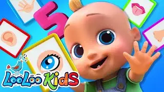 Five Senses Song for Preschool 👀👂 | Nursery Rhyme for Toddler & Kids Songs | Looloo Kids Tv