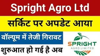 सर्किट पर अपडेट आया Spright Agro Share Latest News | Spright Agro Latest News | Spright Agro Share