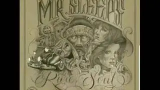 MR SLEEPS RARE SOUL