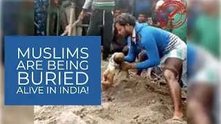 Is This Video Related To Delhi Violence? | Fake News Busted | English | Newschecker