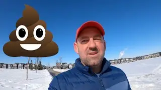 Advanced Meaning of Poo-Poo
