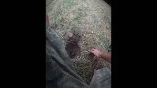 Daily Digs - What Is In The Hole Today? #metaldetecting #treasure #treasurehunt