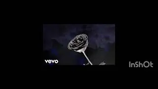 The pain in the shadow